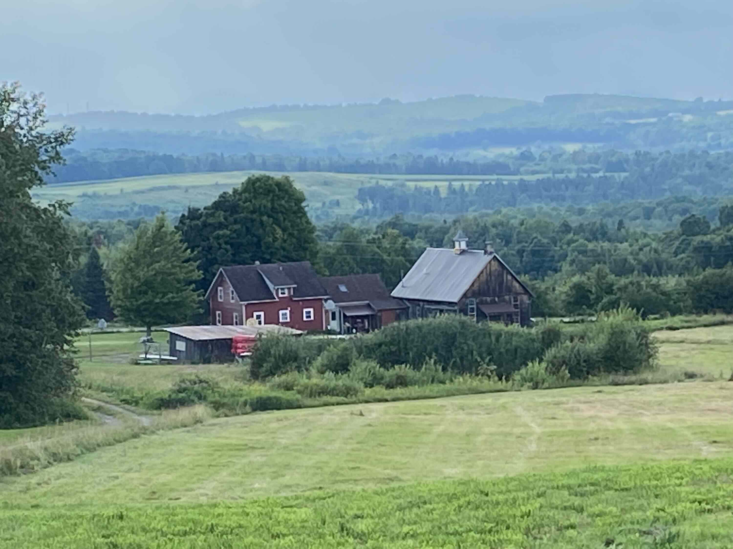 Mac’s Party field